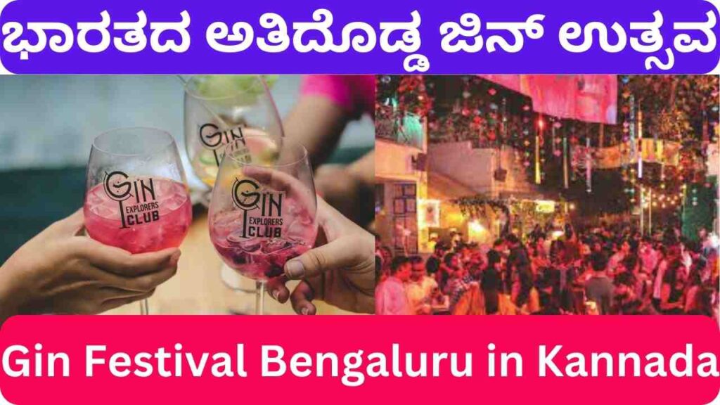 Gin Festival Bengaluru in Kannada